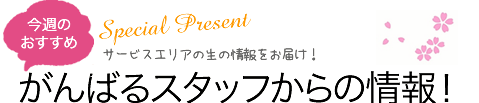 頑張るスタッフからの情報