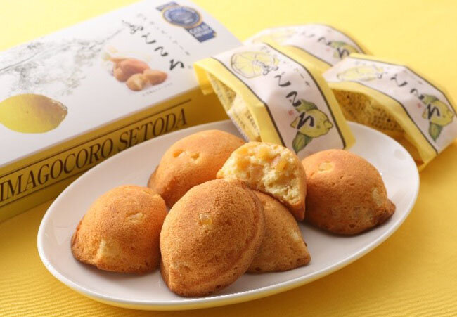瀬戸田レモンケーキ島ごころ