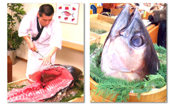 マグロの解体ショー