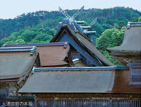 広い境内には、神在祭に集まる神々の宿舎となる十九社や楼門など国の重要文化財も多く見どころがたくさん