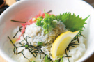 釜揚げしらす丼