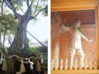 神社境内の風景