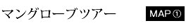 マングローブツアー
