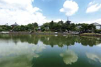 興福寺　景観
