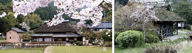 八塔寺ふるさと村　美しい風景