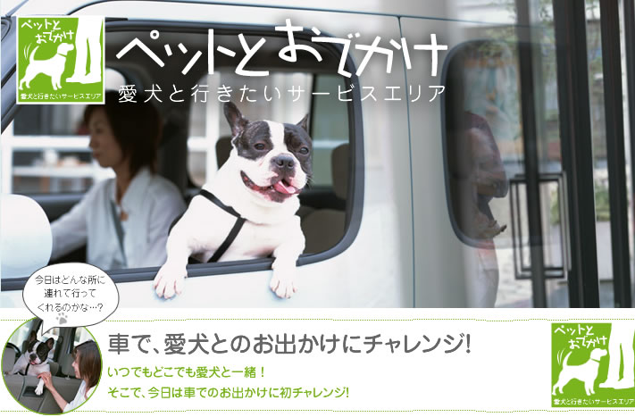 ペットとおでかけ　愛犬と行きたいサービスエリア　車で、愛犬とのお出かけにチャレンジ！いつでもどこでも愛犬と一緒！そこで、今日は車でのお出かけに初チャレンジ！